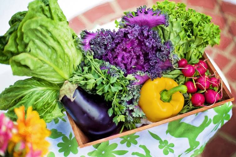 Organic Foods